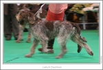 Filename=L-Owzthat2.jpg
Filesize=207KiB
Dimensions=972x670
Date added=Feb 23, 2013 L-Owzthat2.jpg