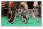 Filename=L-Whatchamacallit2.jpg
Filesize=211KiB
Dimensions=972x666
Date added=Feb 23, 2013 L-Whatchamacallit2.jpg