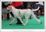 Filename=M-GoodAsGold-4.jpg
Filesize=189KiB
Dimensions=972x680
Date added=Feb 23, 2013 M-GoodAsGold-4.jpg