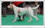 Filename=M-GoodAsGold-5.jpg
Filesize=161KiB
Dimensions=969x612
Date added=Feb 23, 2013 M-GoodAsGold-5.jpg