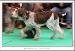 Filename=M-OurManInHavana-4.jpg
Filesize=206KiB
Dimensions=971x659
Date added=Feb 23, 2013 M-OurManInHavana-4.jpg
