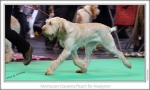Filename=M-SavannaPeach4.jpg
Filesize=235KiB
Dimensions=968x582
Date added=Feb 23, 2013 M-SavannaPeach4.jpg