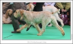 Filename=M-Uma2.jpg
Filesize=237KiB
Dimensions=968x592
Date added=Feb 23, 2013 M-Uma2.jpg