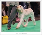 Filename=N-GotToBeThere4.jpg
Filesize=271KiB
Dimensions=977x808
Date added=Feb 23, 2013 N-GotToBeThere4.jpg