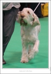 Filename=N-GotToBeThere5.jpg
Filesize=255KiB
Dimensions=1005x1446
Date added=Feb 23, 2013 N-GotToBeThere5.jpg