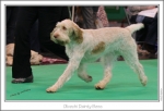 Filename=O-DaintyBess4.jpg
Filesize=164KiB
Dimensions=971x662
Date added=Feb 23, 2013 O-DaintyBess4.jpg