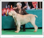 Filename=O-Tansy.jpg
Filesize=249KiB
Dimensions=979x855
Date added=Feb 23, 2013 O-Tansy.jpg