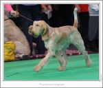 Filename=P-Mayhem4.jpg
Filesize=167KiB
Dimensions=979x837
Date added=Feb 23, 2013 P-Mayhem4.jpg