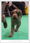 Filename=P-Muddle2.jpg
Filesize=228KiB
Dimensions=1005x1452
Date added=Feb 23, 2013 P-Muddle2.jpg