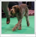 Filename=P-Muddle3.jpg
Filesize=260KiB
Dimensions=987x1028
Date added=Feb 23, 2013 P-Muddle3.jpg