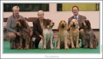 Filename=Piccolonoce.jpg
Filesize=253KiB
Dimensions=966x558
Date added=Feb 23, 2013 Piccolonoce.jpg
