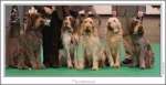 Filename=Piccolonoce2.jpg
Filesize=237KiB
Dimensions=964x496
Date added=Feb 23, 2013 Piccolonoce2.jpg