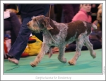 Filename=S-Izzeta4.jpg
Filesize=228KiB
Dimensions=975x743
Date added=Feb 23, 2013 S-Izzeta4.jpg
