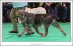 Filename=S-Natalia2.jpg
Filesize=248KiB
Dimensions=969x617
Date added=Feb 23, 2013 S-Natalia2.jpg