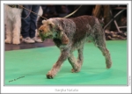 Filename=S-Natalia3.jpg
Filesize=246KiB
Dimensions=972x695
Date added=Feb 23, 2013 S-Natalia3.jpg