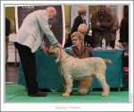 Filename=T-Balena2.jpg
Filesize=240KiB
Dimensions=978x816
Date added=Feb 23, 2013 T-Balena2.jpg