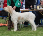 Filename=H-LouisDousset.jpg
Filesize=211KiB
Dimensions=700x596
Date added=Feb 23, 2013 H-LouisDousset.jpg