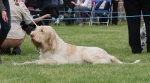 L-Glenglassaugh-1.jpg