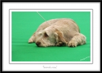 Filename=Bored_com.jpg
Filesize=317KiB
Dimensions=1100x790
Date added=Feb 23, 2013 Bored_com.jpg