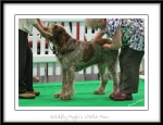 Filename=G-MagicsLittleMan.jpg
Filesize=375KiB
Dimensions=1100x847
Date added=Feb 23, 2013 G-MagicsLittleMan.jpg
