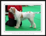 Filename=M-GoodAsGold.jpg
Filesize=357KiB
Dimensions=1100x874
Date added=Feb 23, 2013 M-GoodAsGold.jpg
