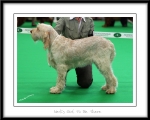 Filename=N-GotToBeThere.jpg
Filesize=389KiB
Dimensions=1100x882
Date added=Feb 23, 2013 N-GotToBeThere.jpg