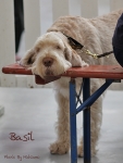 Filename=B-AlFresco3.jpg
Filesize=400KiB
Dimensions=569x750
Date added=Feb 23, 2013 B-AlFresco3.jpg
