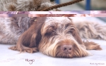 Filename=G-MagicsLittleMan1.jpg
Filesize=396KiB
Dimensions=1192x750
Date added=Feb 23, 2013 G-MagicsLittleMan1.jpg