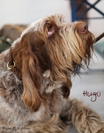 Filename=G-MagicsLittleMan2.jpg
Filesize=393KiB
Dimensions=594x750
Date added=Feb 23, 2013 G-MagicsLittleMan2.jpg