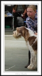 Filename=Aislinn-Edwards-2.jpg
Filesize=844KiB
Dimensions=1150x2078
Date added=Feb 23, 2013 Aislinn-Edwards-2.jpg