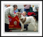Filename=Aislinn-Edwards-3.jpg
Filesize=441KiB
Dimensions=1150x1000
Date added=Feb 23, 2013 Aislinn-Edwards-3.jpg
