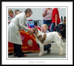 Filename=Aislinn-Edwards.jpg
Filesize=461KiB
Dimensions=1150x1028
Date added=Feb 23, 2013 Aislinn-Edwards.jpg