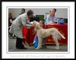 Filename=Antonia-Neate.jpg
Filesize=351KiB
Dimensions=1150x911
Date added=Feb 23, 2013 Antonia-Neate.jpg