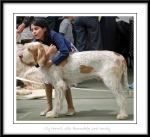 Filename=Lily-Morrell-3.jpg
Filesize=404KiB
Dimensions=1150x1055
Date added=Feb 23, 2013 Lily-Morrell-3.jpg