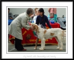Filename=Lily-Morrell.jpg
Filesize=415KiB
Dimensions=1150x941
Date added=Feb 23, 2013 Lily-Morrell.jpg