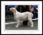 Filename=B-CuttingEdge.jpg
Filesize=361KiB
Dimensions=1050x861
Date added=Feb 23, 2013 B-CuttingEdge.jpg