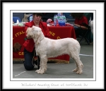 Filename=D-AmazingGrace.jpg
Filesize=382KiB
Dimensions=1050x904
Date added=Feb 23, 2013 D-AmazingGrace.jpg