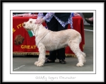 Filename=G-SugarsFirecracker.jpg
Filesize=335KiB
Dimensions=1050x838
Date added=Feb 23, 2013 G-SugarsFirecracker.jpg