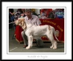 Filename=H-KirRoyale.jpg
Filesize=408KiB
Dimensions=1050x888
Date added=Feb 23, 2013 H-KirRoyale.jpg