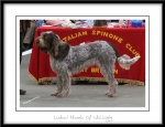 Filename=L-Niamh.jpg
Filesize=358KiB
Dimensions=1050x808
Date added=Feb 23, 2013 L-Niamh.jpg