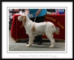 Filename=M-GoodAsGold.jpg
Filesize=349KiB
Dimensions=1050x848
Date added=Feb 23, 2013 M-GoodAsGold.jpg