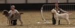 Best In Show Challenge.JPG