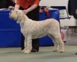 Filename=A-Amelia.jpg
Filesize=146KiB
Dimensions=700x570
Date added=Feb 23, 2013 A-Amelia.jpg