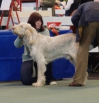 Filename=B-BillyElliot3.jpg
Filesize=175KiB
Dimensions=700x723
Date added=Feb 23, 2013 B-BillyElliot3.jpg