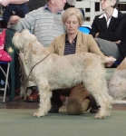 Filename=F-RoccaChe.jpg
Filesize=202KiB
Dimensions=700x752
Date added=Feb 23, 2013 F-RoccaChe.jpg