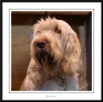 Filename=L-KissNTell5.jpg
Filesize=218KiB
Dimensions=1150x1148
Date added=Feb 23, 2013 L-KissNTell5.jpg