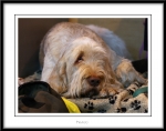 Filename=N-GotToBeThere3.jpg
Filesize=195KiB
Dimensions=1150x911
Date added=Feb 23, 2013 N-GotToBeThere3.jpg