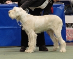 Filename=R-Abrielle.jpg
Filesize=150KiB
Dimensions=700x568
Date added=Feb 23, 2013 R-Abrielle.jpg