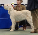 Filename=R-Ellena.jpg
Filesize=154KiB
Dimensions=700x641
Date added=Feb 23, 2013 R-Ellena.jpg