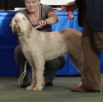 Filename=R-Kemelia.jpg
Filesize=171KiB
Dimensions=700x694
Date added=Feb 23, 2013 R-Kemelia.jpg